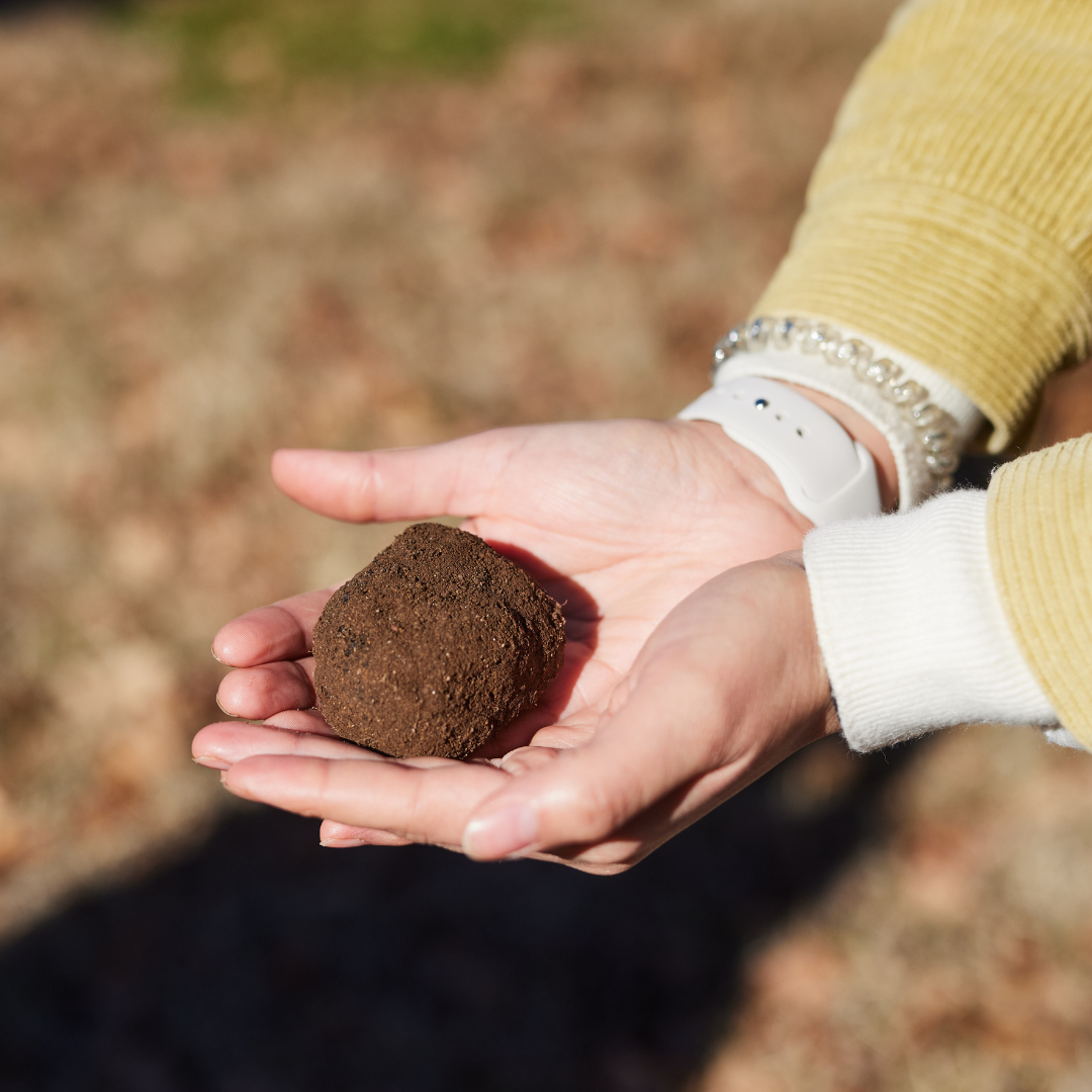 Truffle Blog (3).png