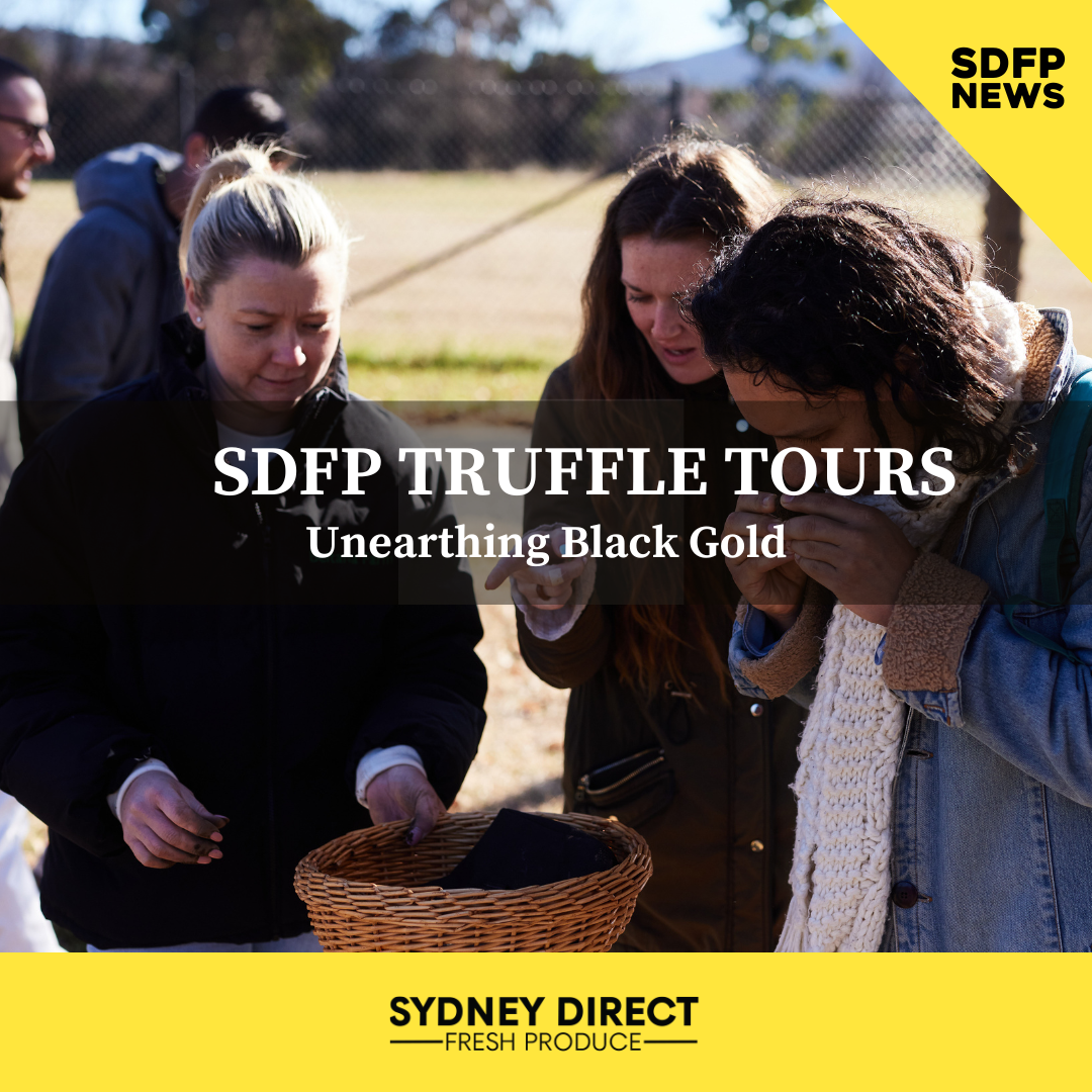 SDFP TRUFFLE TOURS - BLACK GOLD FOR THE HOSPITALITY INDUSTRY
