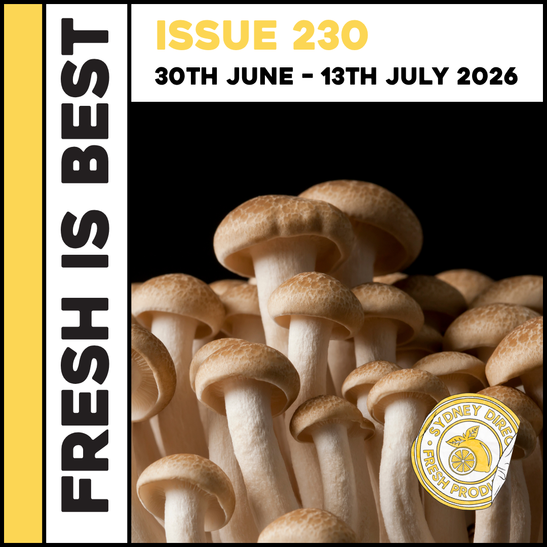 ISSUE 230 "FRESH IS BEST"