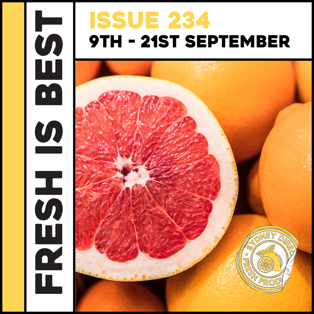 ISSUE 234 "FRESH IS BEST"