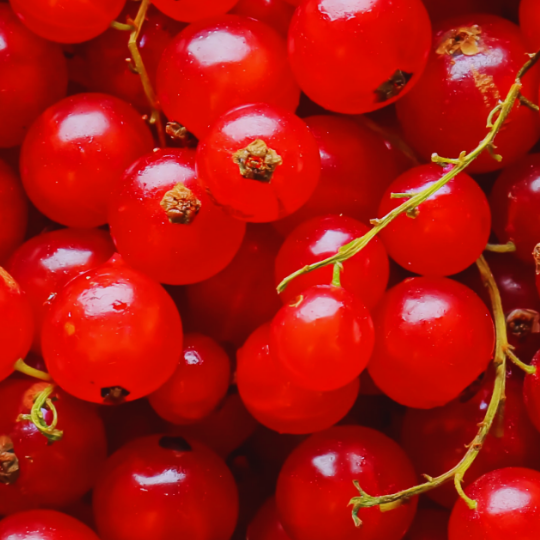 Close-up of red currants with shiny skin and green stems.