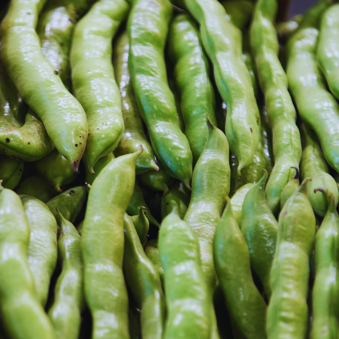 Close-up of fresh green chili peppers