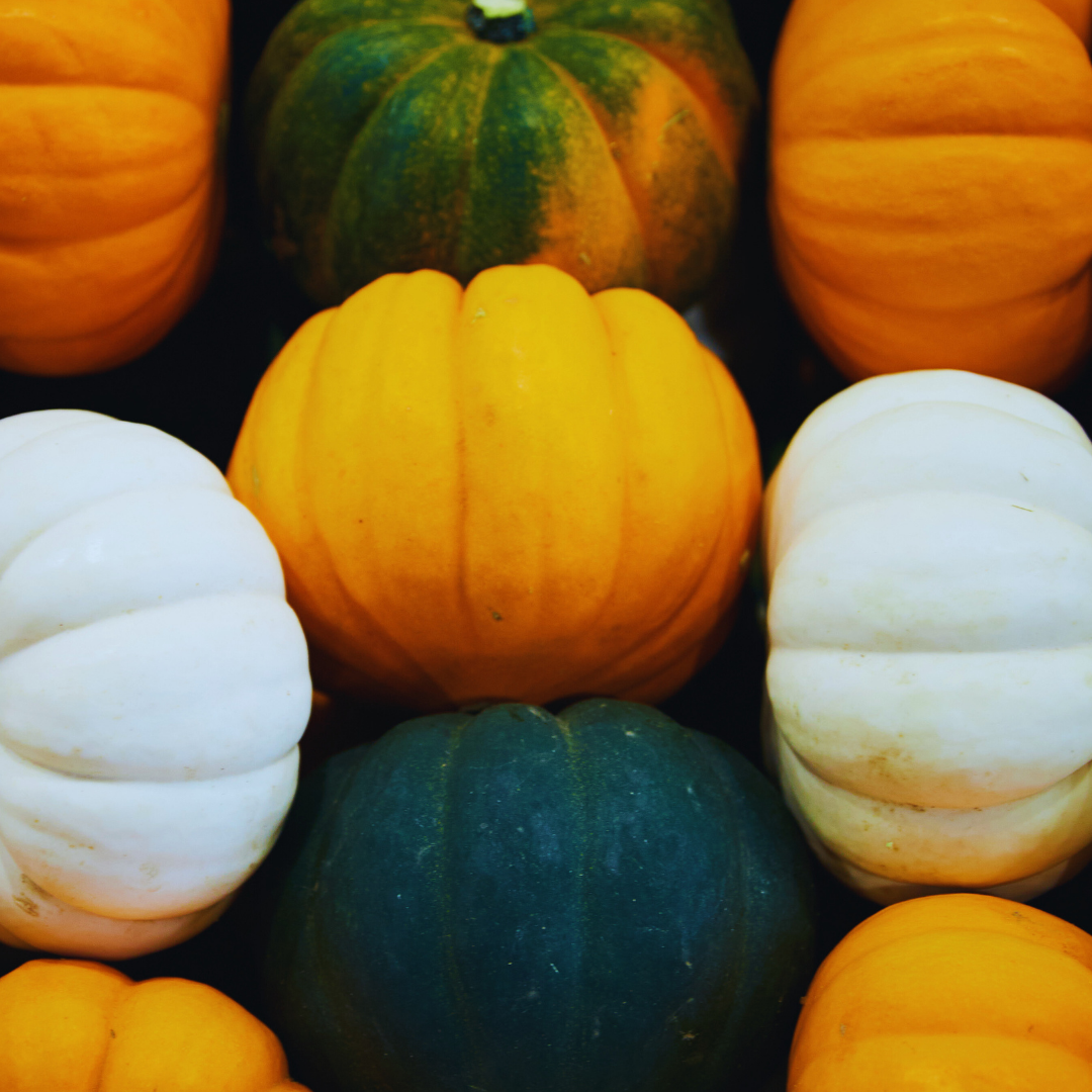 A display of various colorful pumpkins in shades of orange, white, green, and yellow.