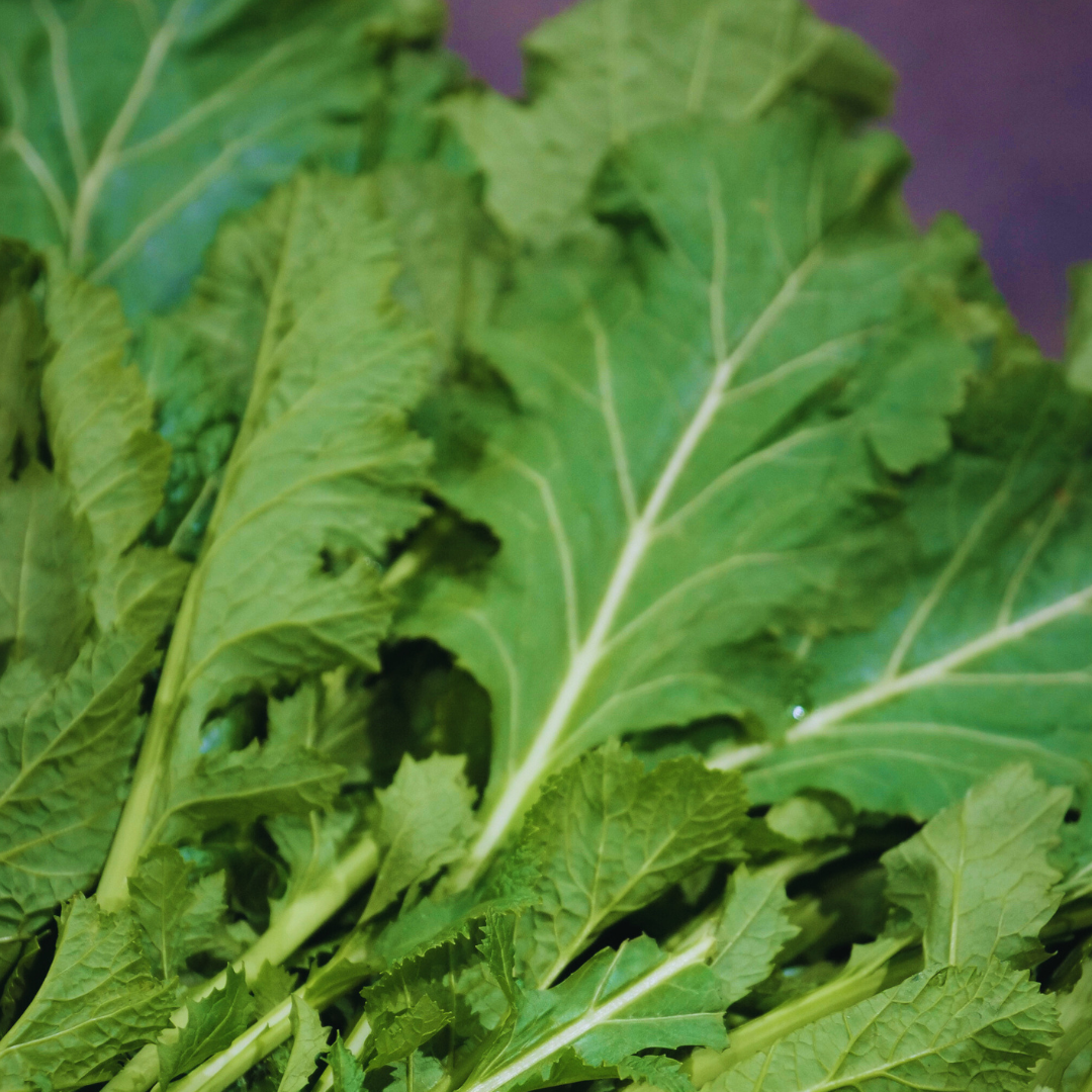 Close-up of fresh green leafy vegetables, possibly collard greens or kale.