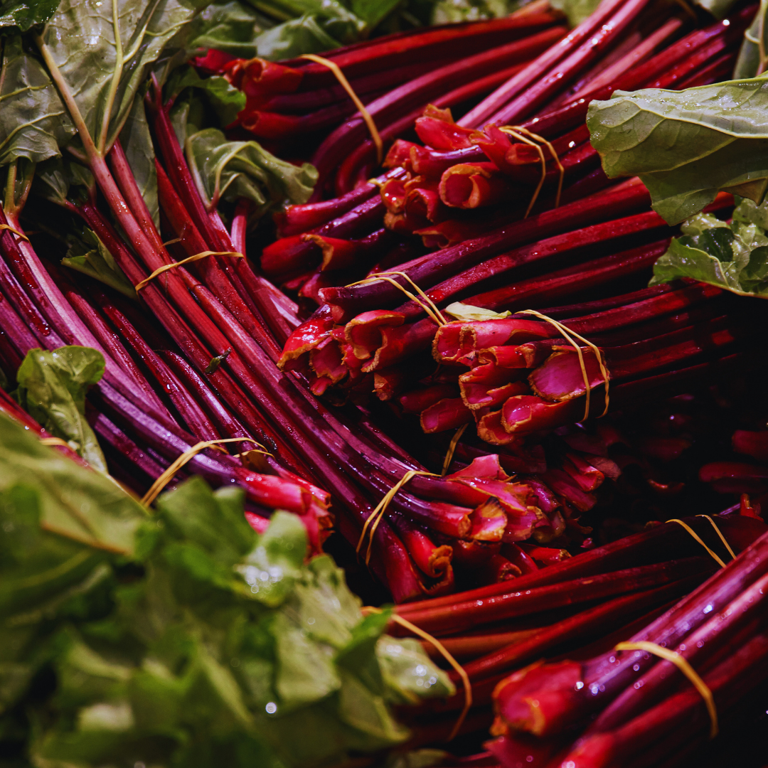 Bundles of fresh red Swiss chard with green leaves, tied with rubber bands, displayed at a market.