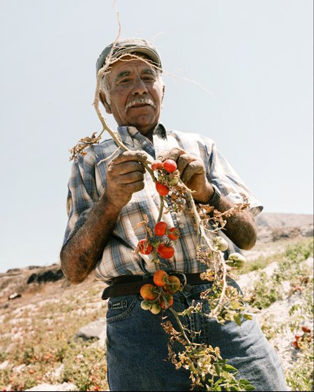 santorini-travel-farmer-stavroskostakisphotography-tomato-_Z9B1355.jpg