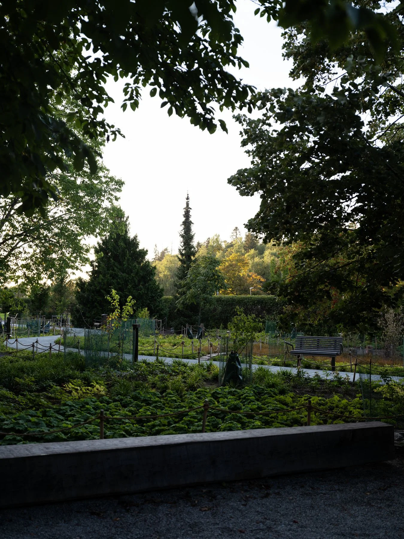 _DSF8679.jpg