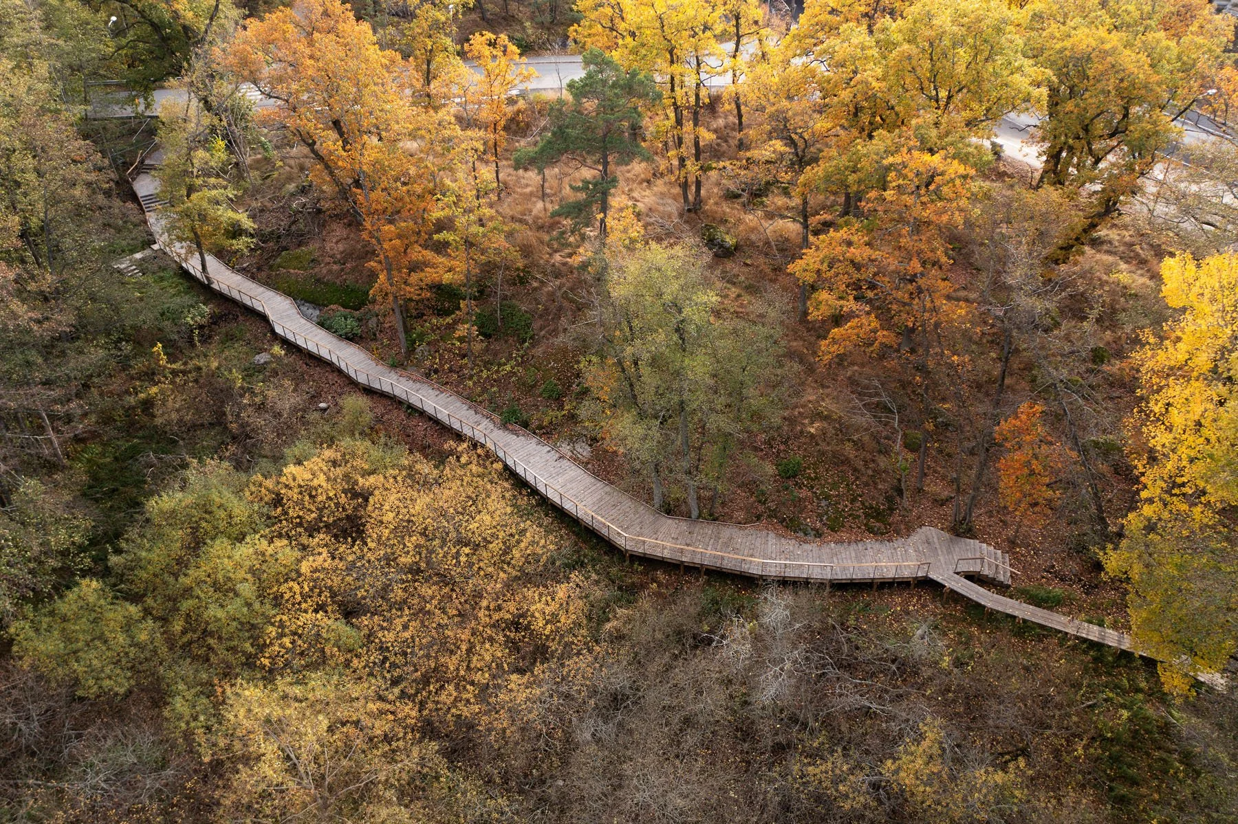 DJI_0711.jpg