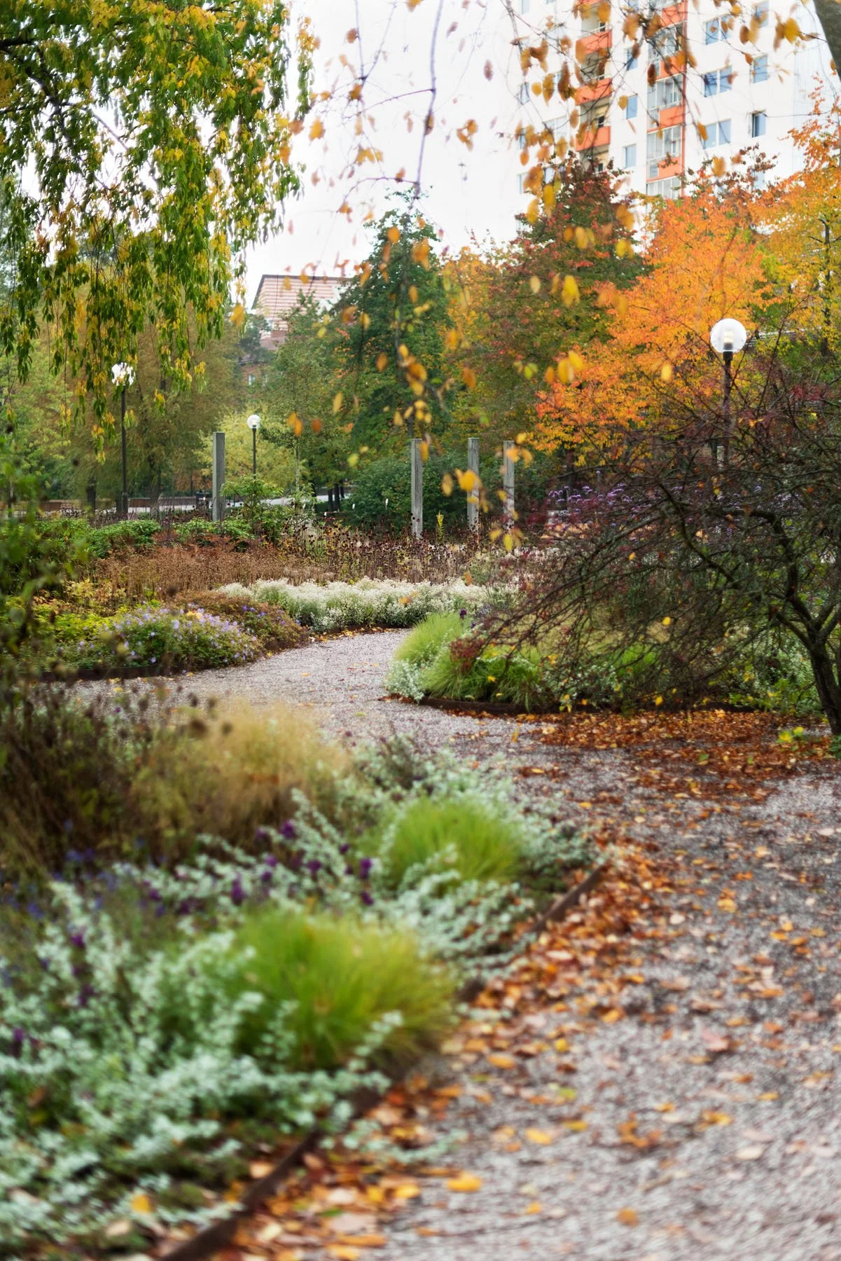 _DSC7658.jpg