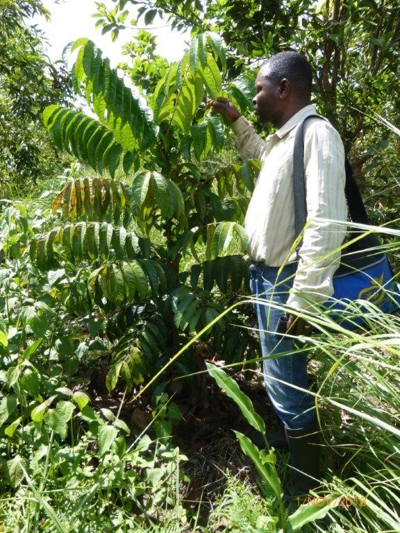 Serge est très fier de « ses » 4000 arbres fruitiers qu’il entretient avec soin depuis 2 ans