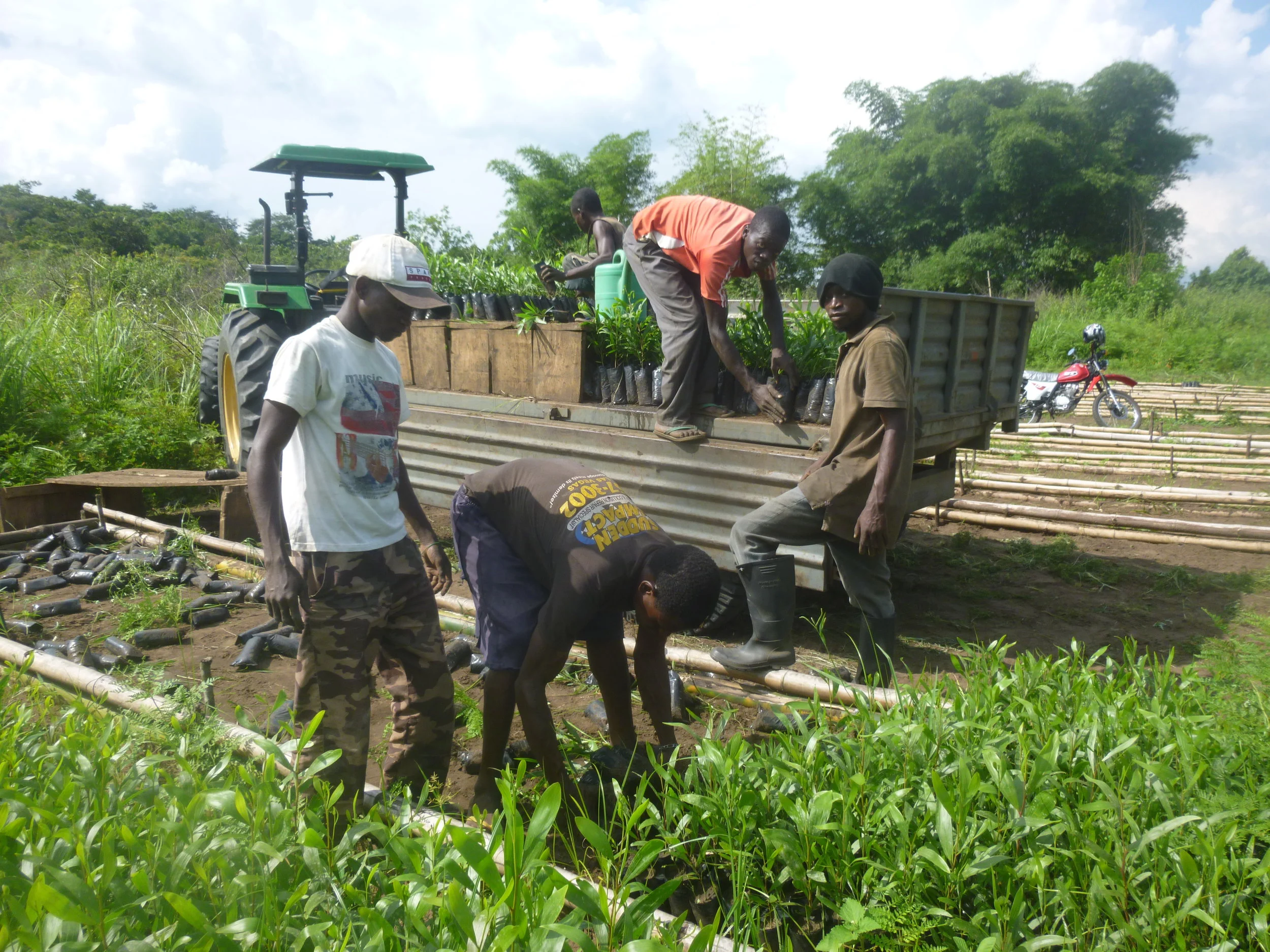 Avril mois de boisement à ibi village
