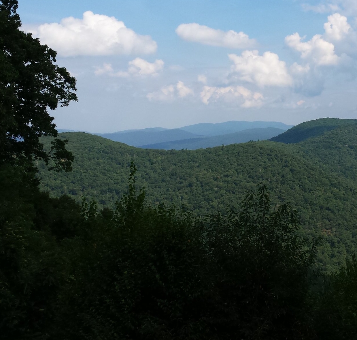 20160910_121509.jpg
