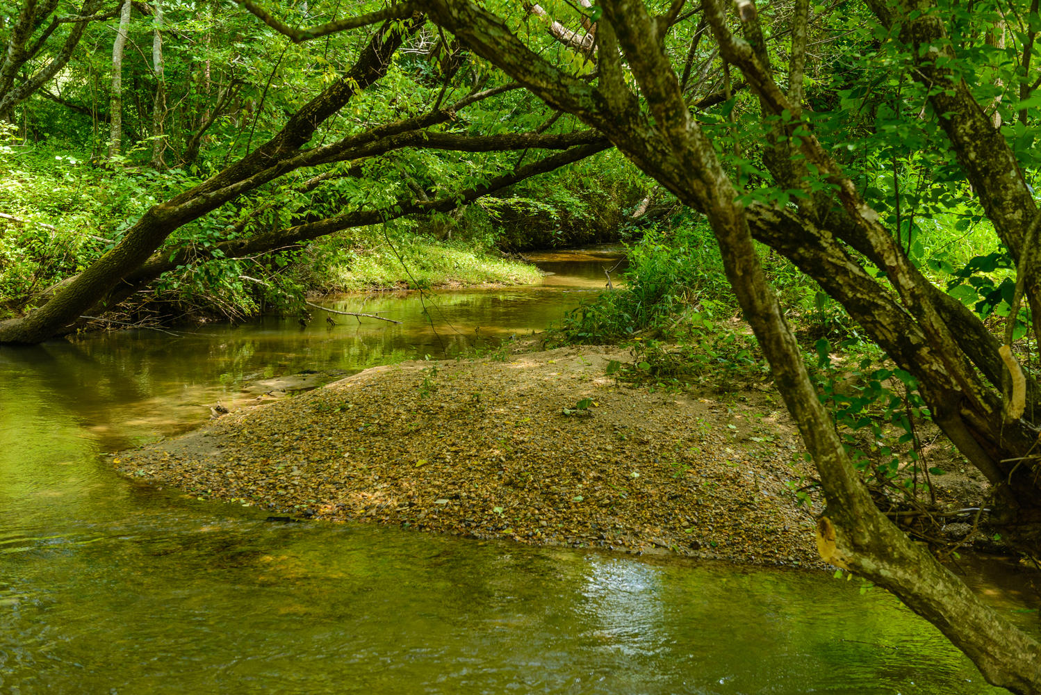80 Forge Valley Dr Mills River-large-005-9-Creek-1498x1000-72dpi.jpg