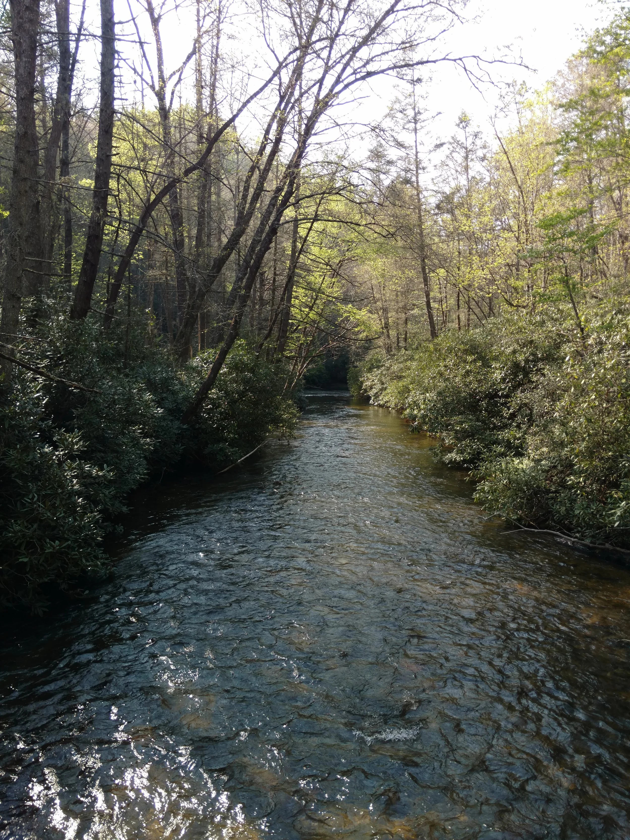 IMG_20170428_171356543.jpg