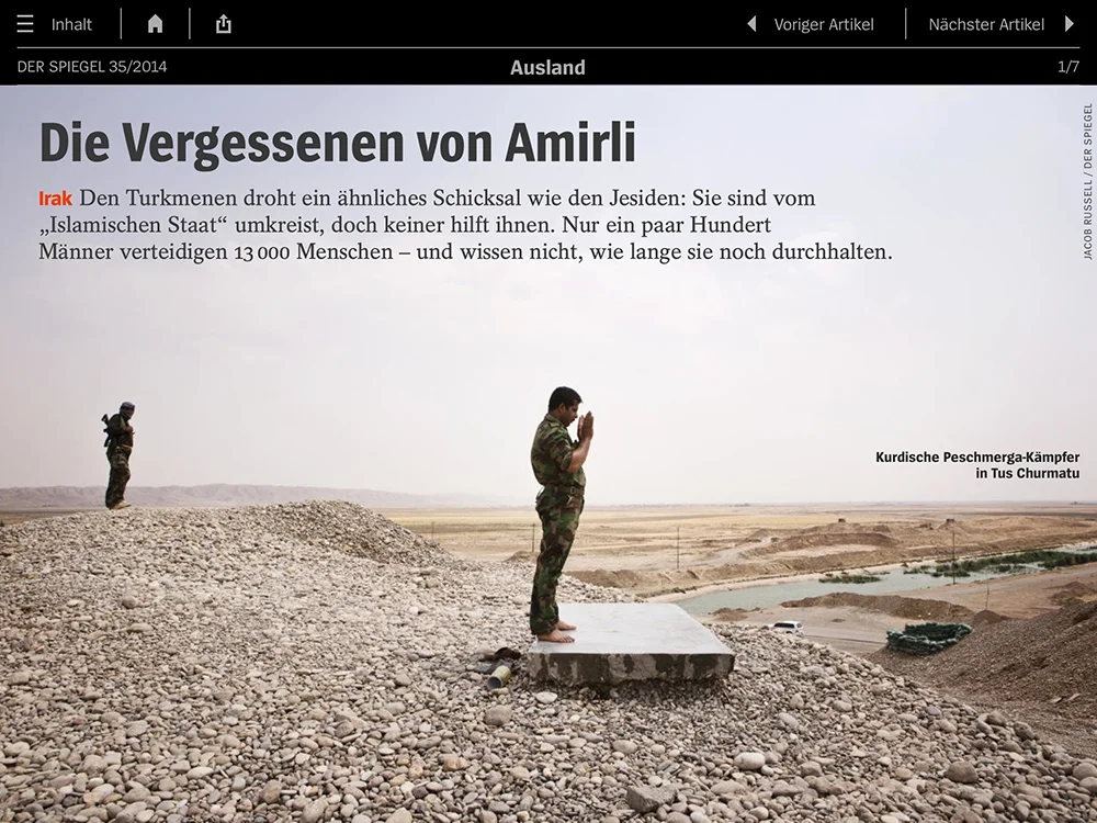 SpiegelP1.jpg