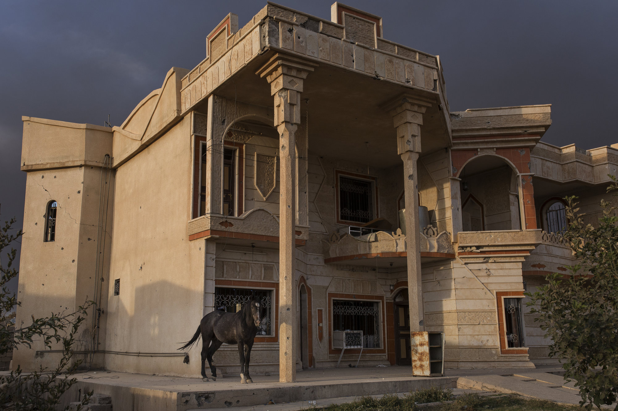  A horse stands by an abandoned house in a village retaken from Islamic State forces. 