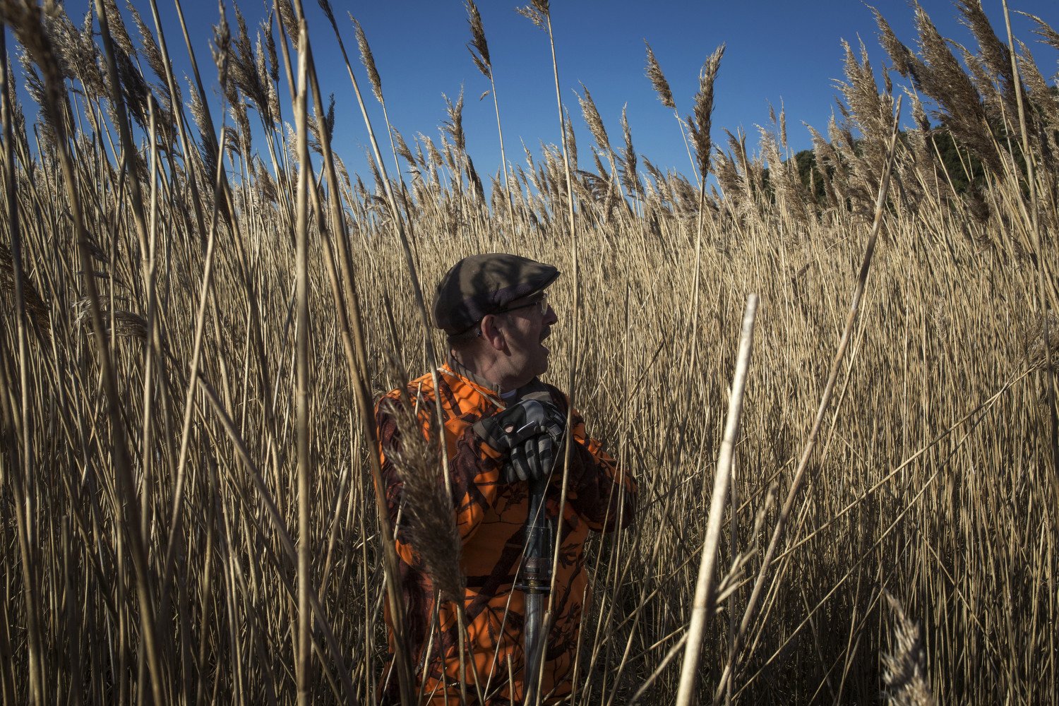 JR_220123_Chasse_edit_167.JPG