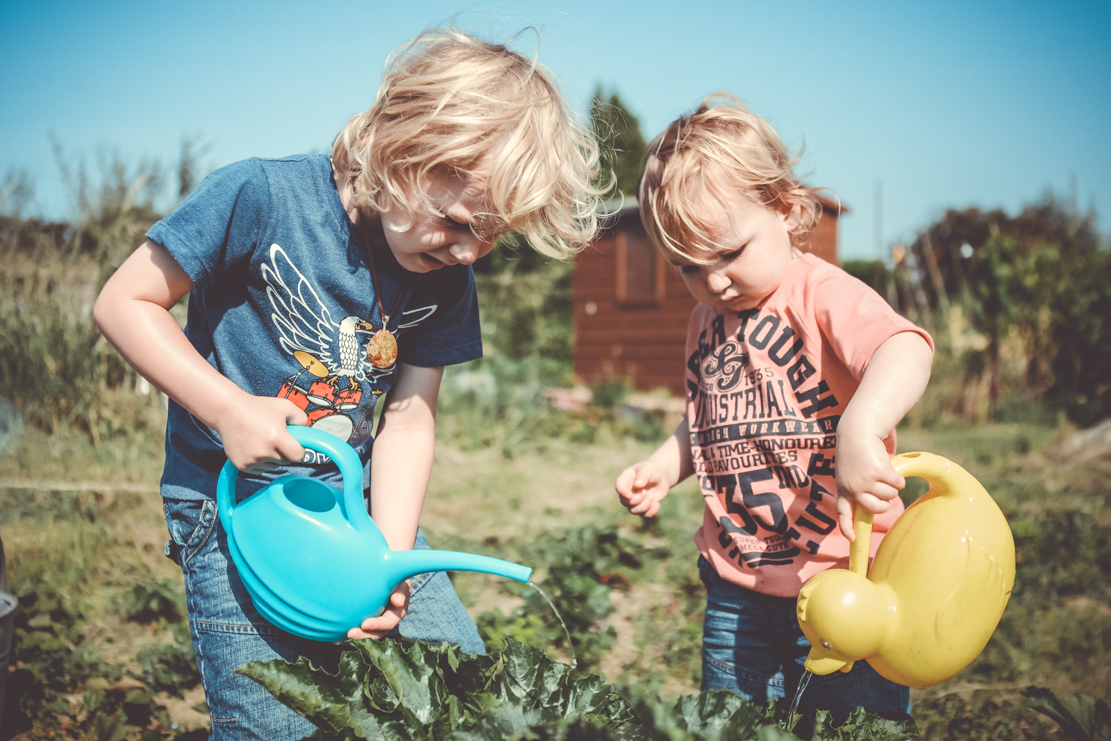 Allotment Fun 013.jpg