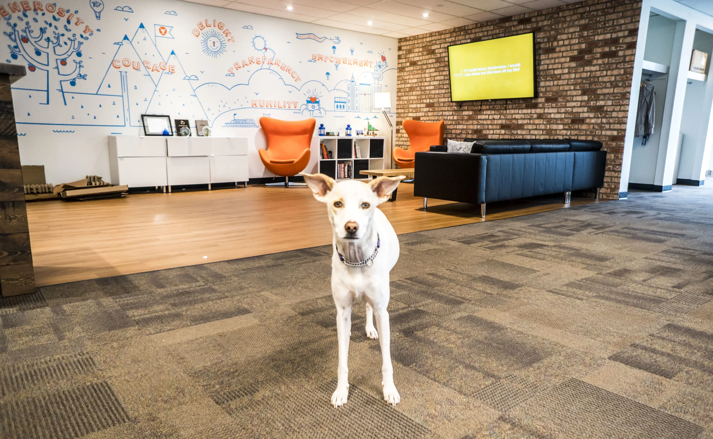 Luna at Unbounce