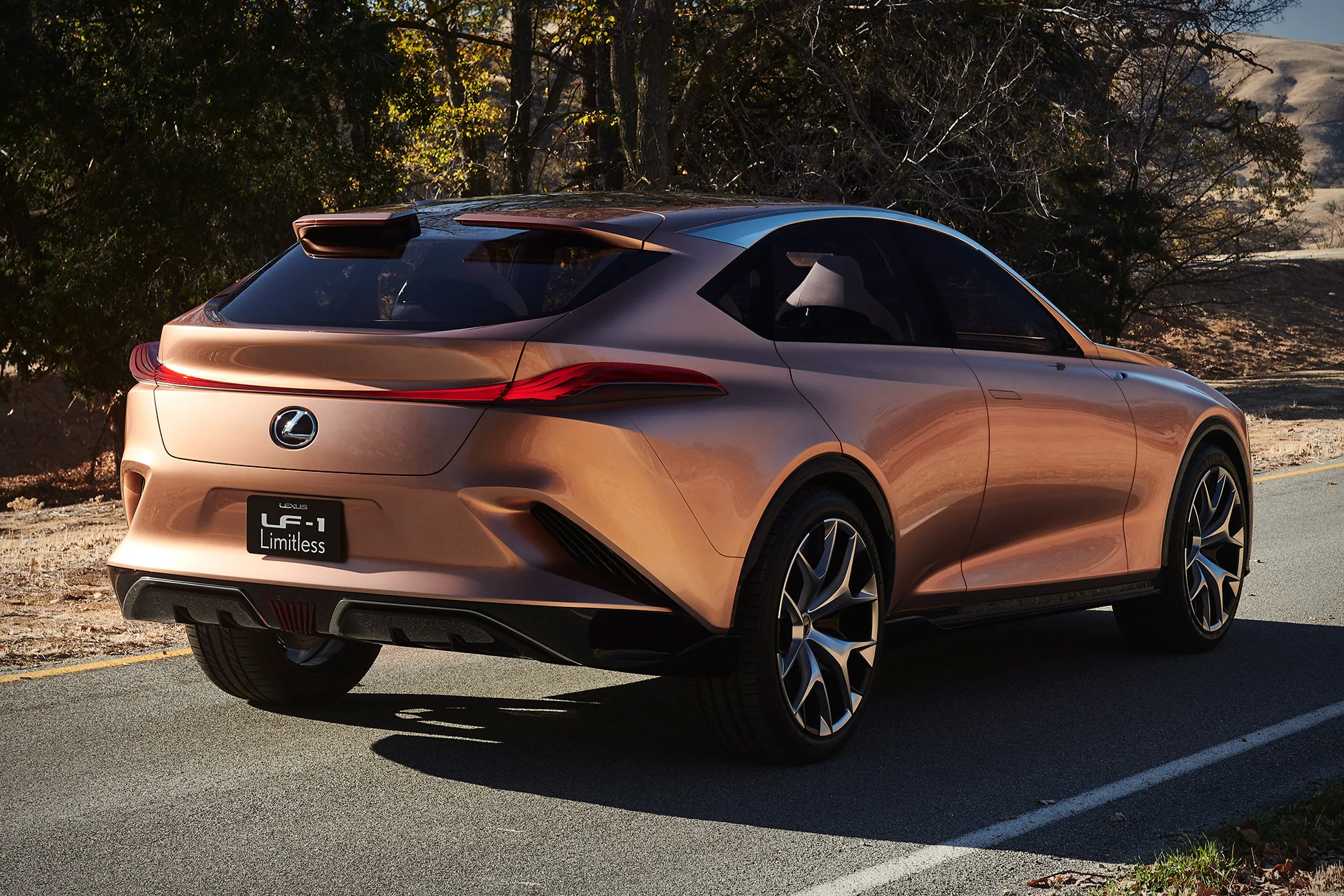lexus-3.jpg