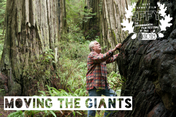 2016 Best Short Film: Moving the Giants Directed by Michael Ramsey Short Film In 1991, arborist David Milarch had a near-death experience that inspired a personal quest to reforest our planet. He would harvest the genetics of the world’s oldest trees, initiate tree-planting efforts to combat climate change, and help restore the planet’s health. Remarkably, he has been doing just that. Moving the Giants tells David’s story, as he helps California coastal redwoods migrate northward to survive climate changes that threaten their current habitat. His is one path to promote “treequestration,” a mass movement to use one of nature’s most prolific methods to remove carbon dioxide from the atmosphere and reduce the amount of future climate change. TRAILER