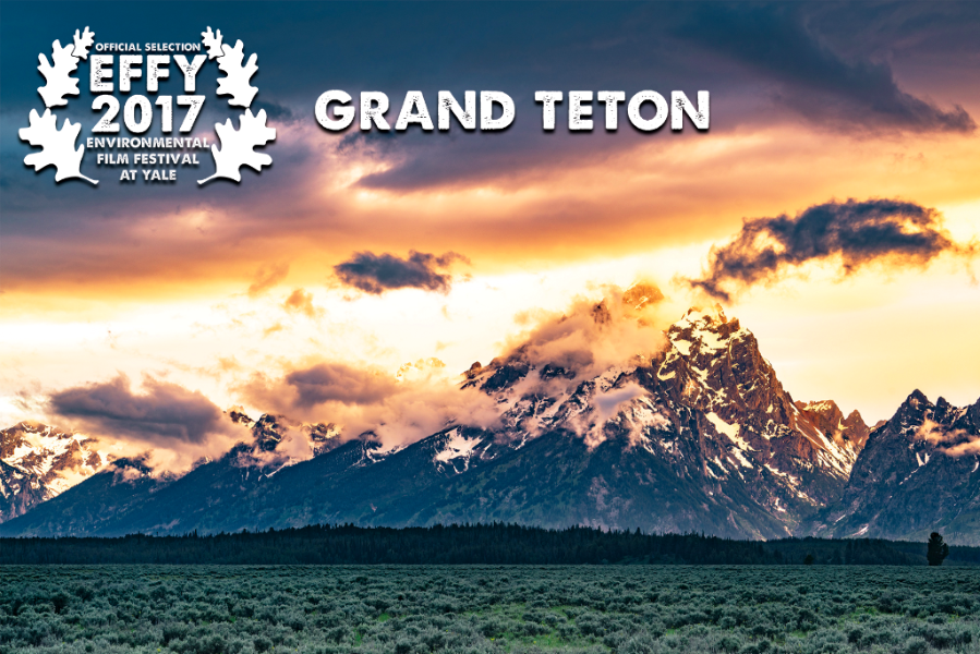 TETON.png