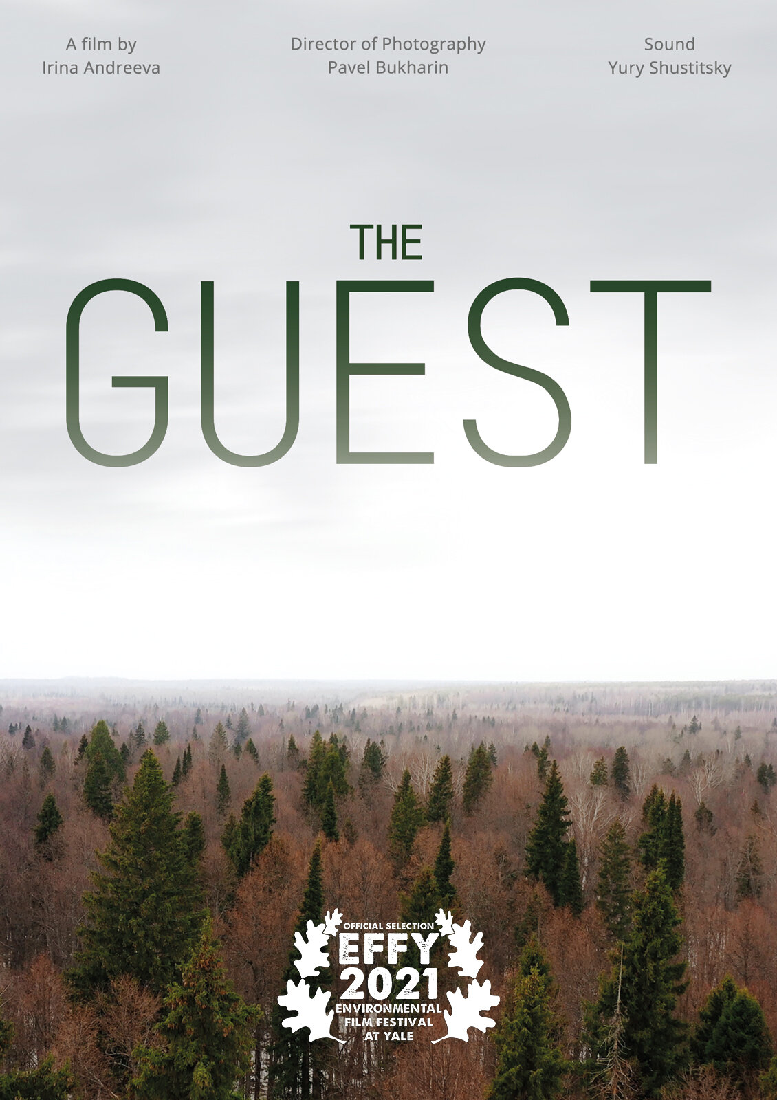 Copy of Poster_TheGuest.jpg