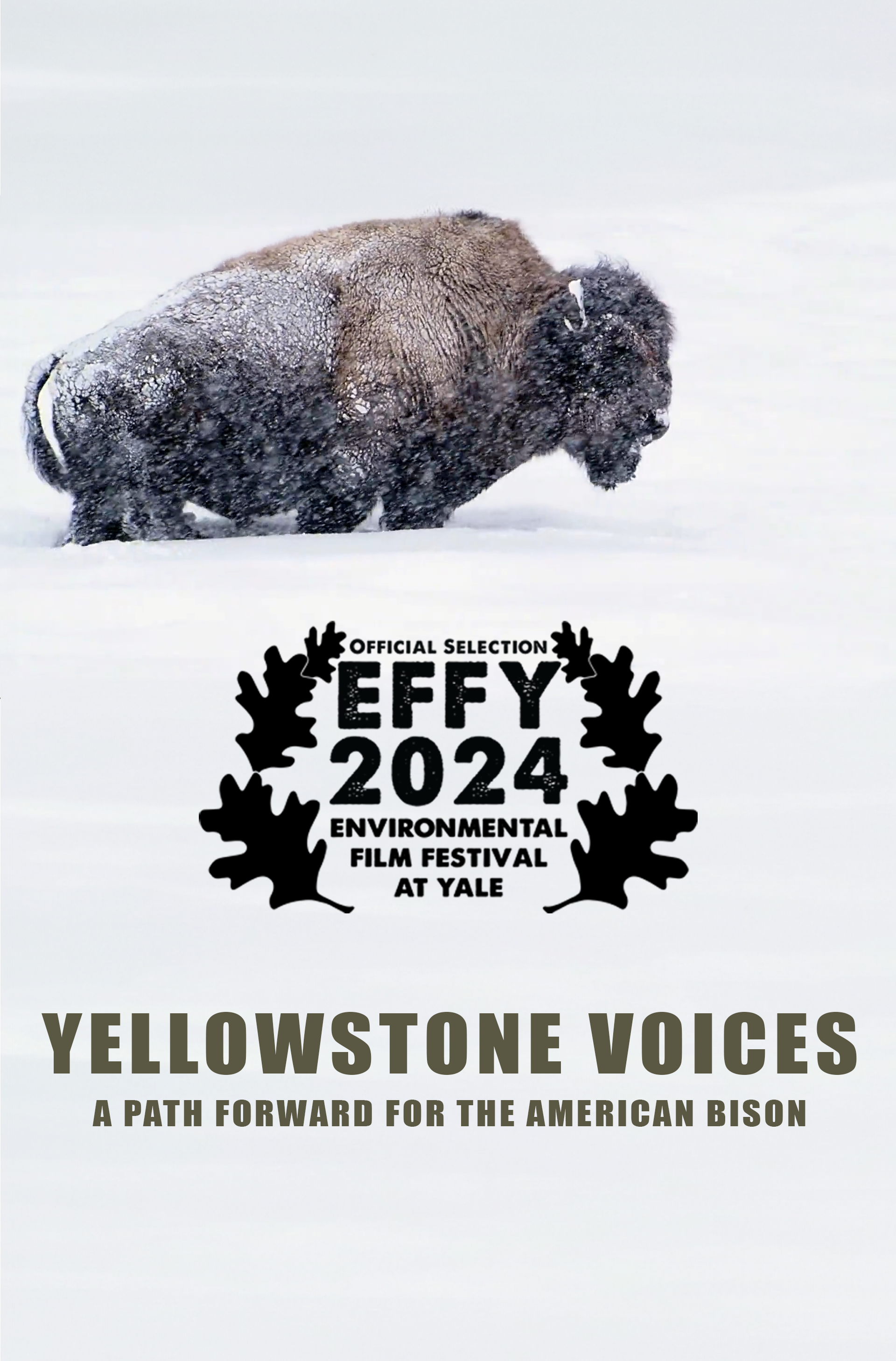 YellowstoneVoices_Panel4_6_24.png