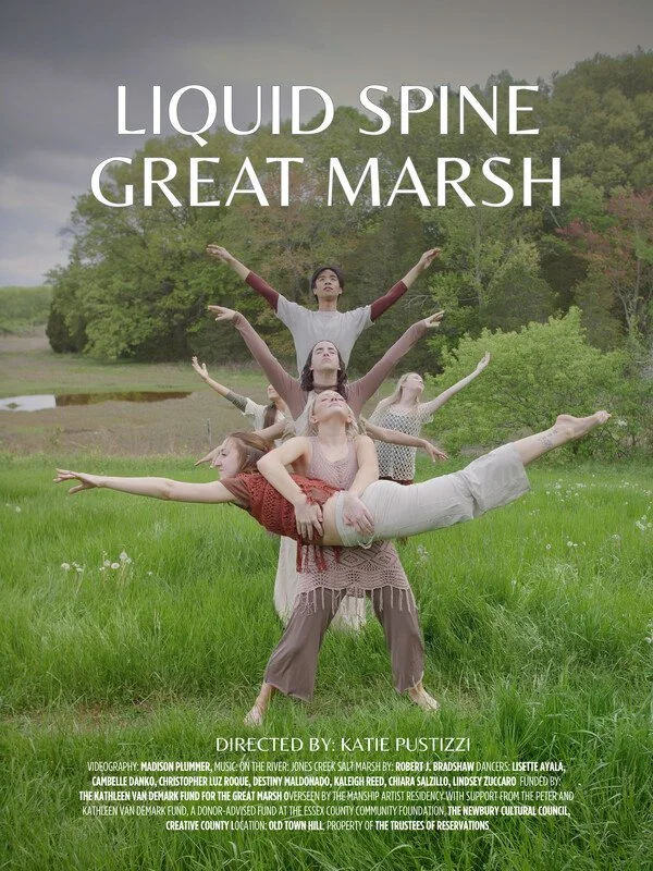 liquid spine great marsh.jpg