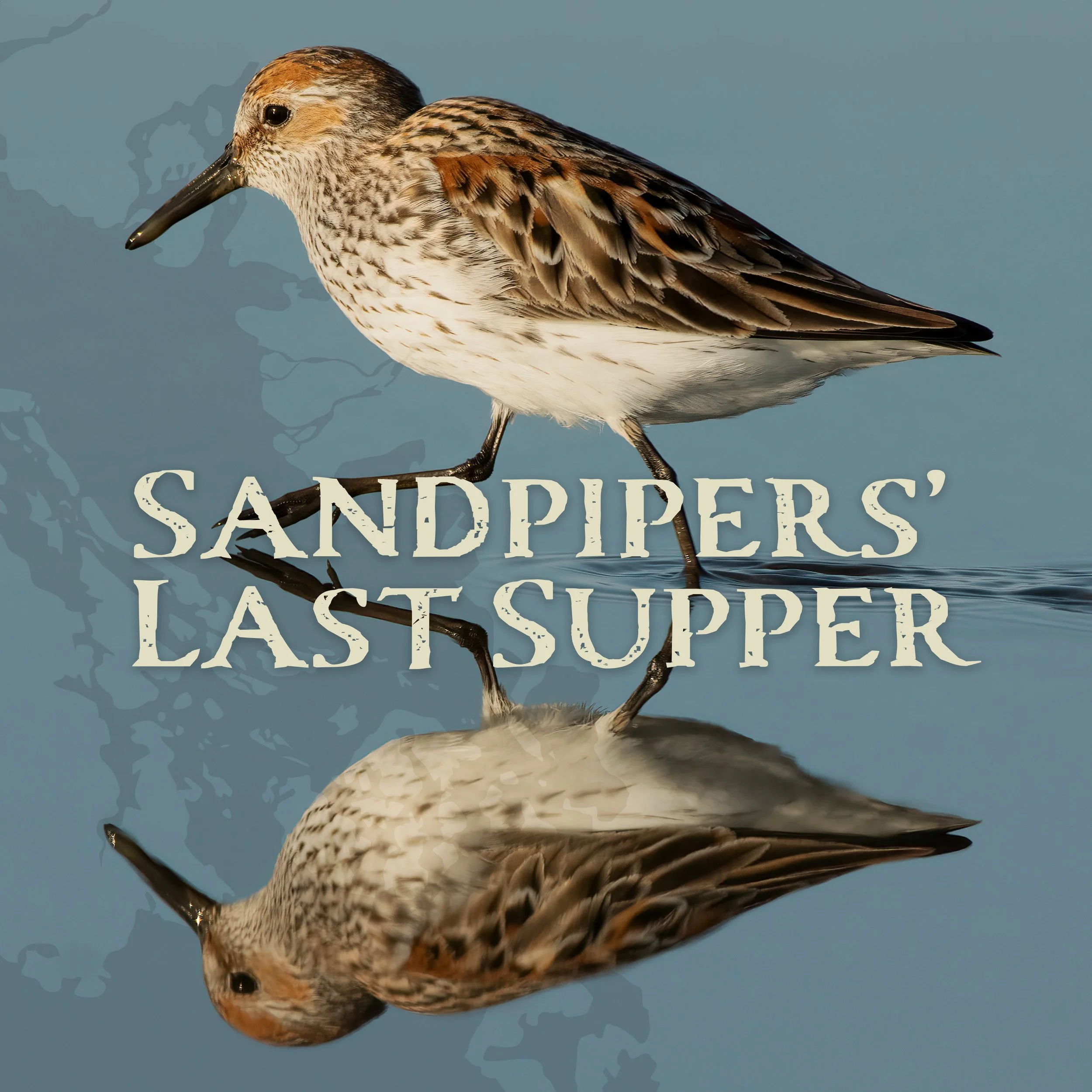 Sandpiper-3000X3000-title.jpg
