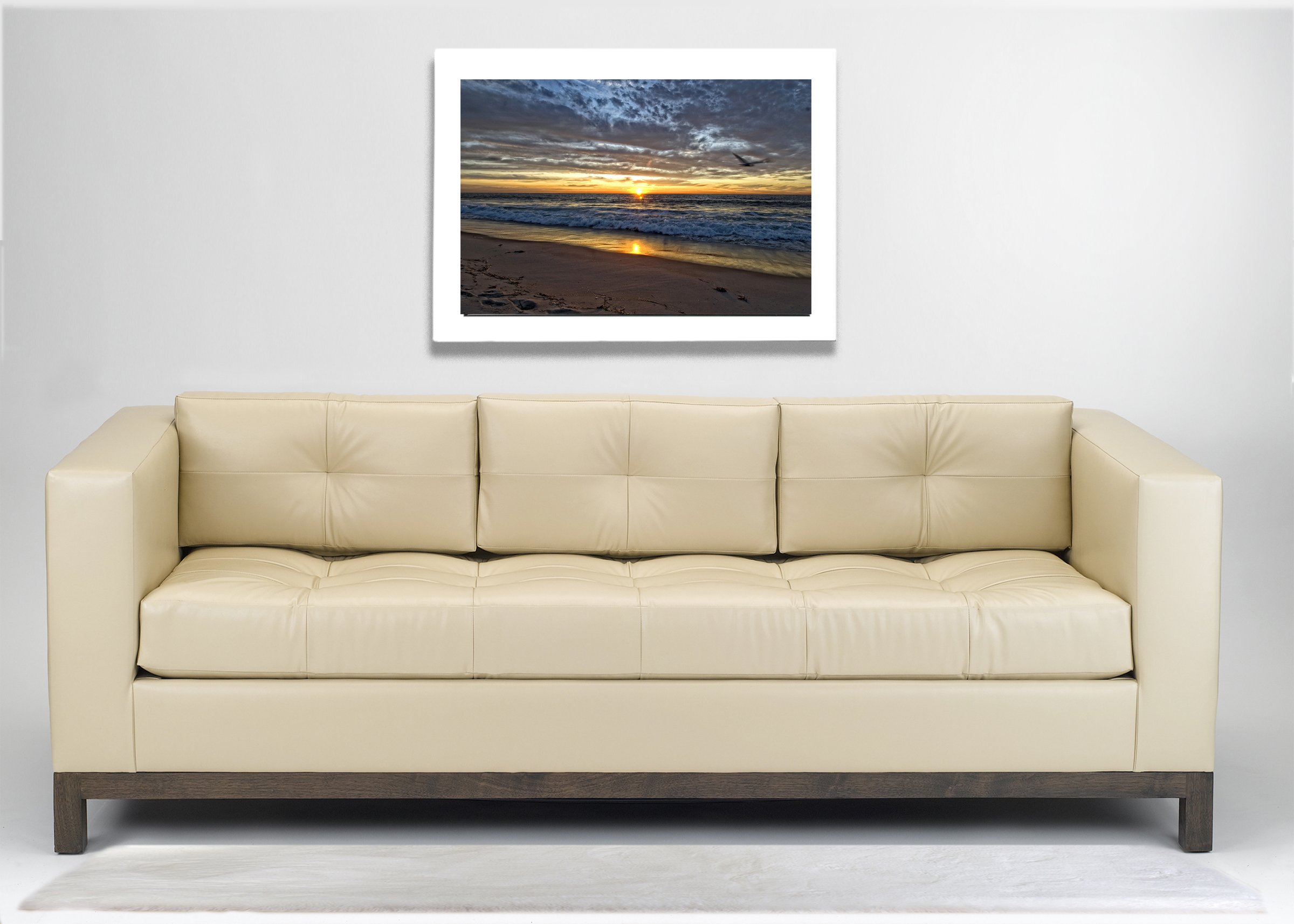 Gull over the Ocean copy.jpg