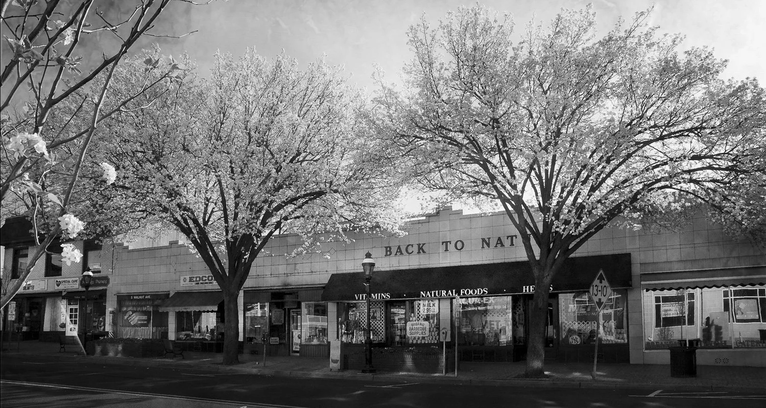 04. Downtown Back to Nature