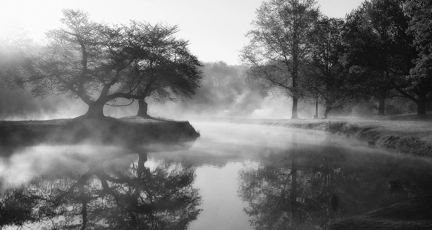 05. Nomahegan Park Fog 