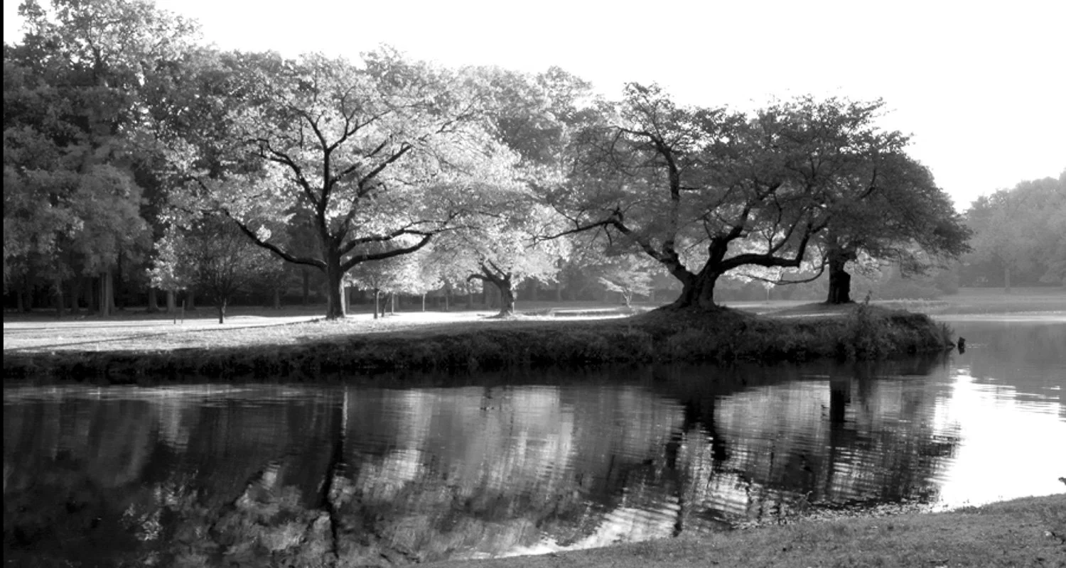 06. Nomahegan Park Autumn
