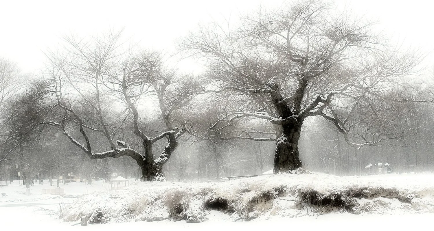 08.Nomahegan park winter 62.jpg