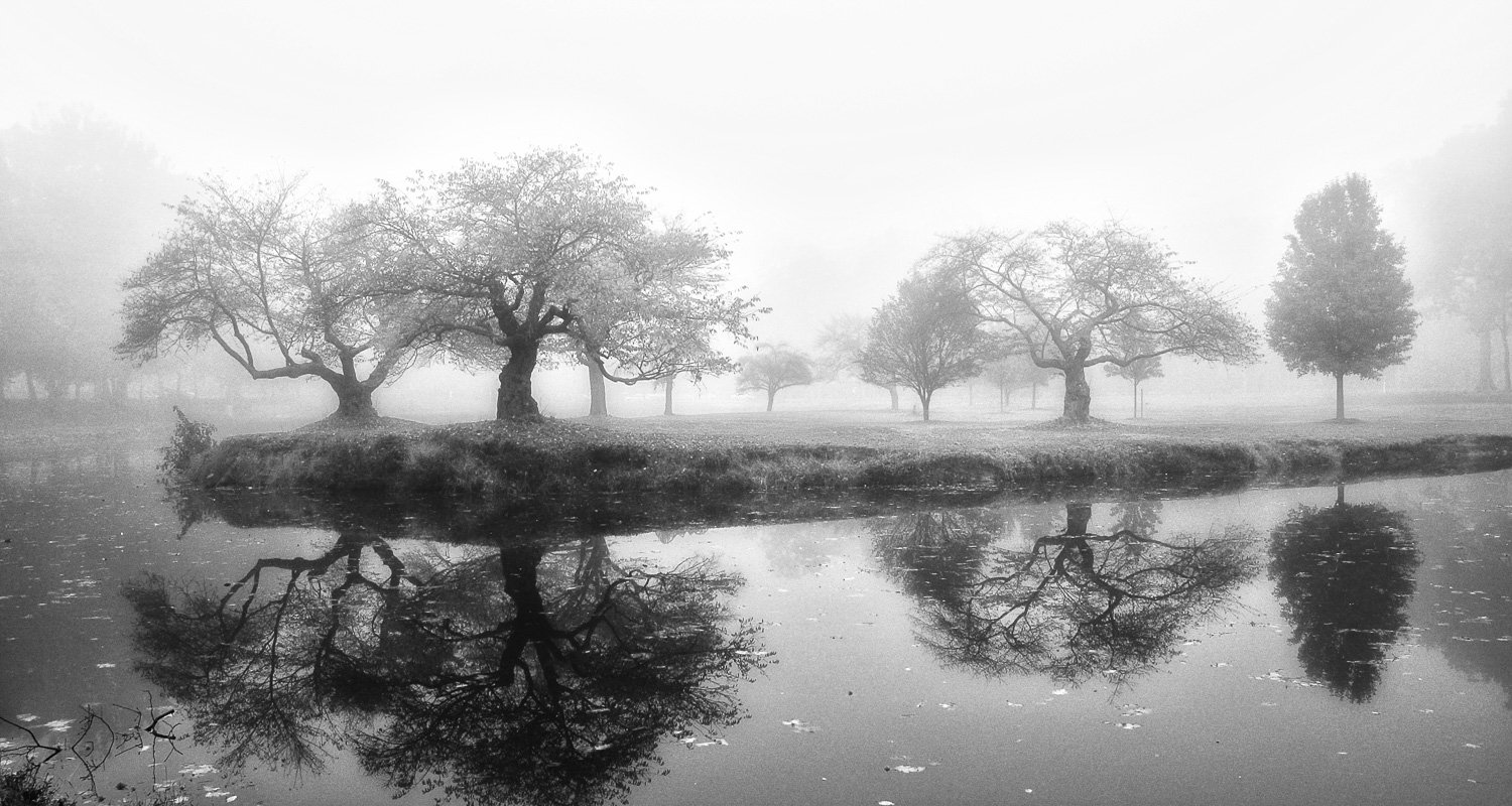 12. Nomahegan Park Rain