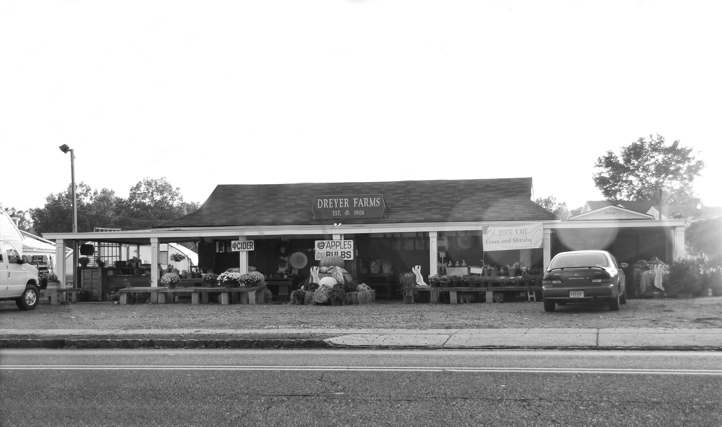 24. Dreyer Farms .jpg