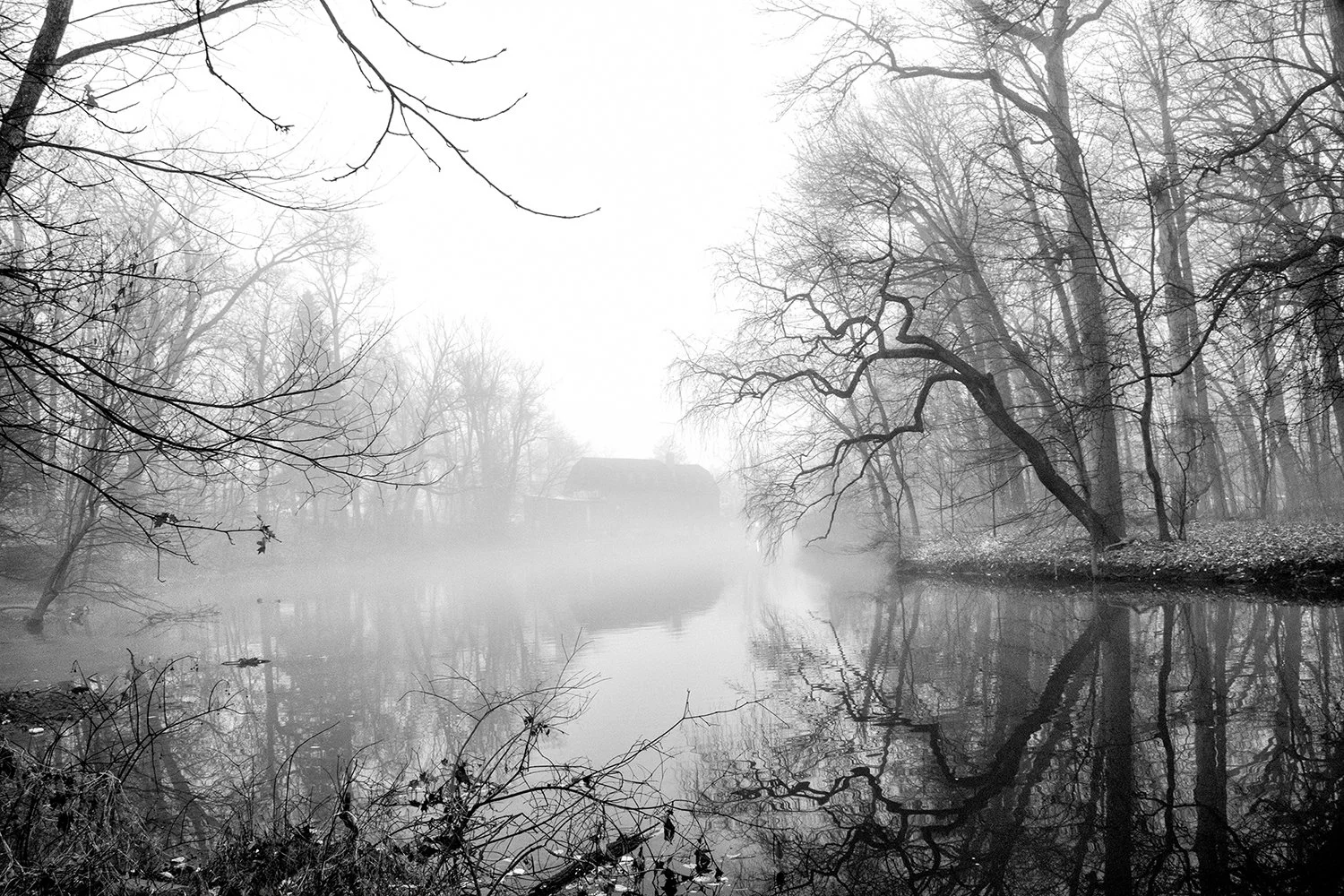 25. Mill in the Fog