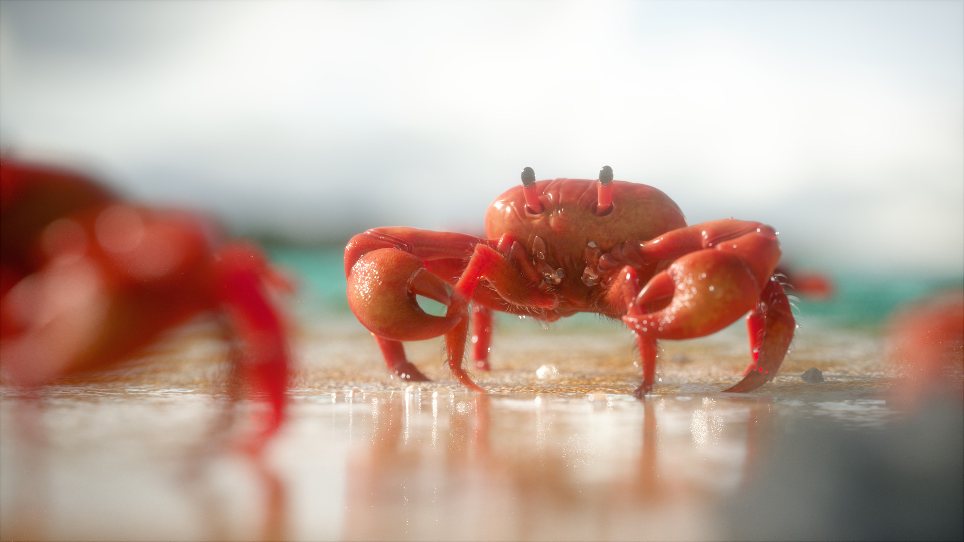 fellipe-beckman-render-crab.jpg