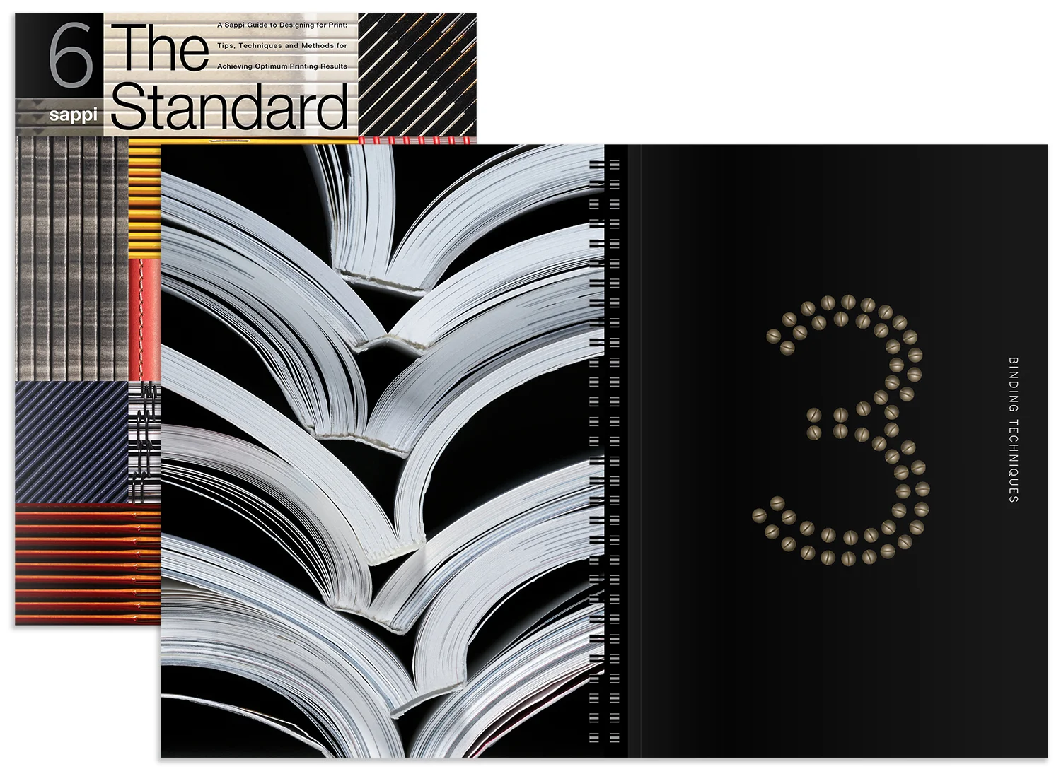 standard_6_1500px_multi_new.jpg