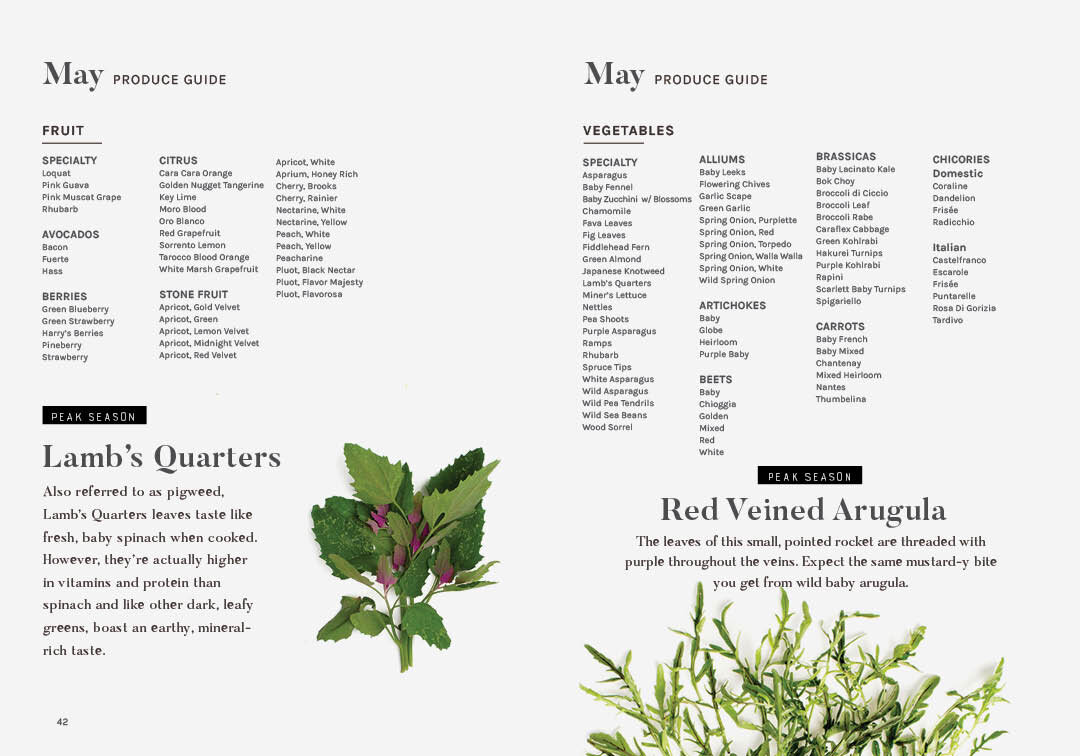 BSF_SS2020_MasterDoc_PJE_E2-FINAL-SPREADS22.jpg
