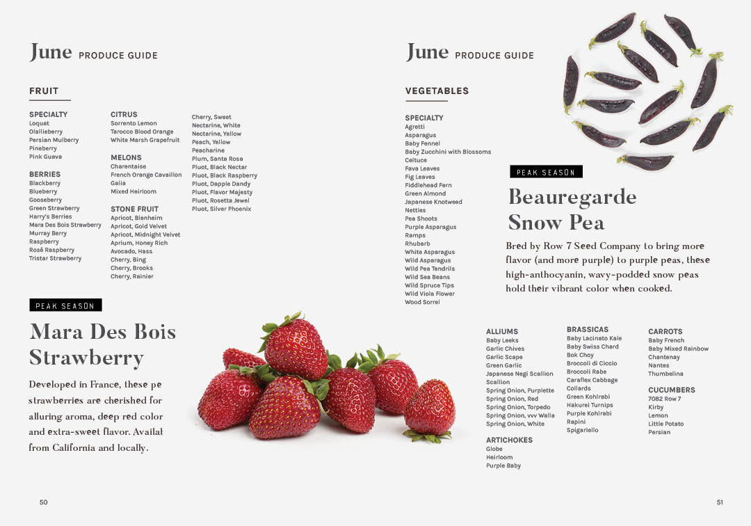 BSF_SS2020_MasterDoc_PJE_E2-FINAL-SPREADS26.jpg