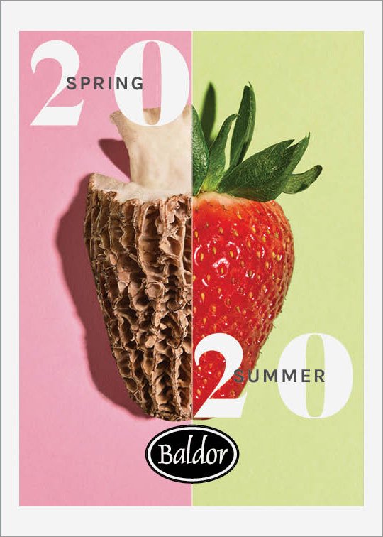 SS2020_front.jpg