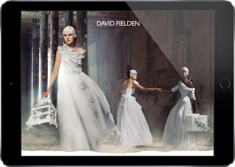 DavidFielden_12_Campaign.jpg