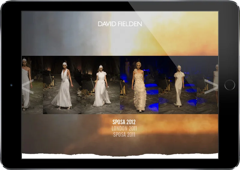 DavidFielden_12_Collections.jpg