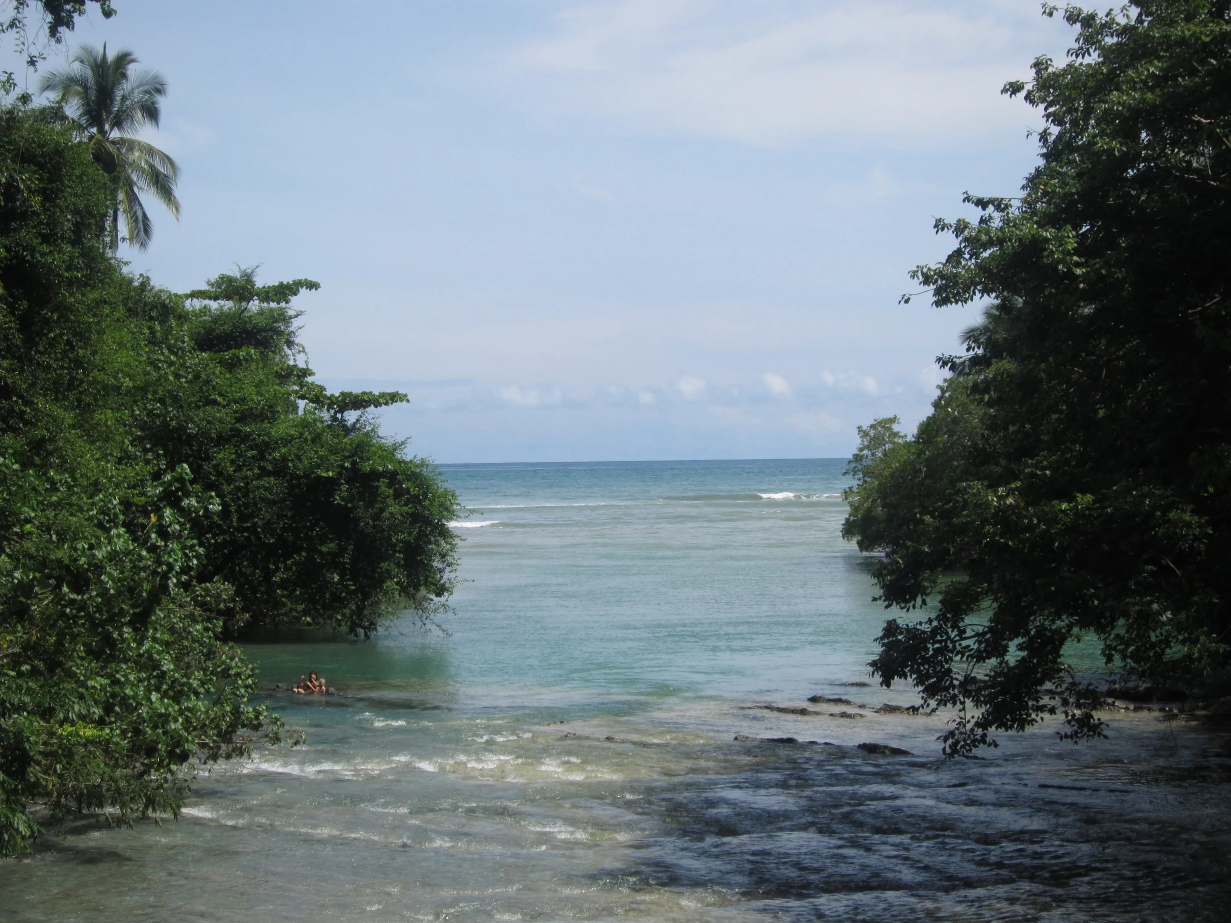 IMG_2565.JPG