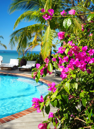 Can you envision yourself in Panama ?