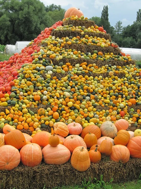 Consider the abundance in your life. Photo Credit: Eveningvoice