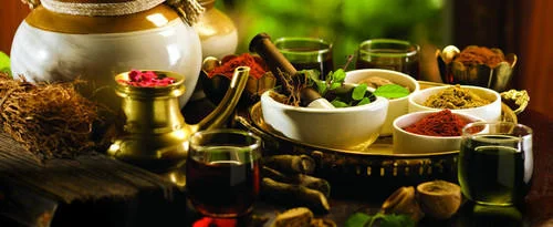 ayurveda.jpeg