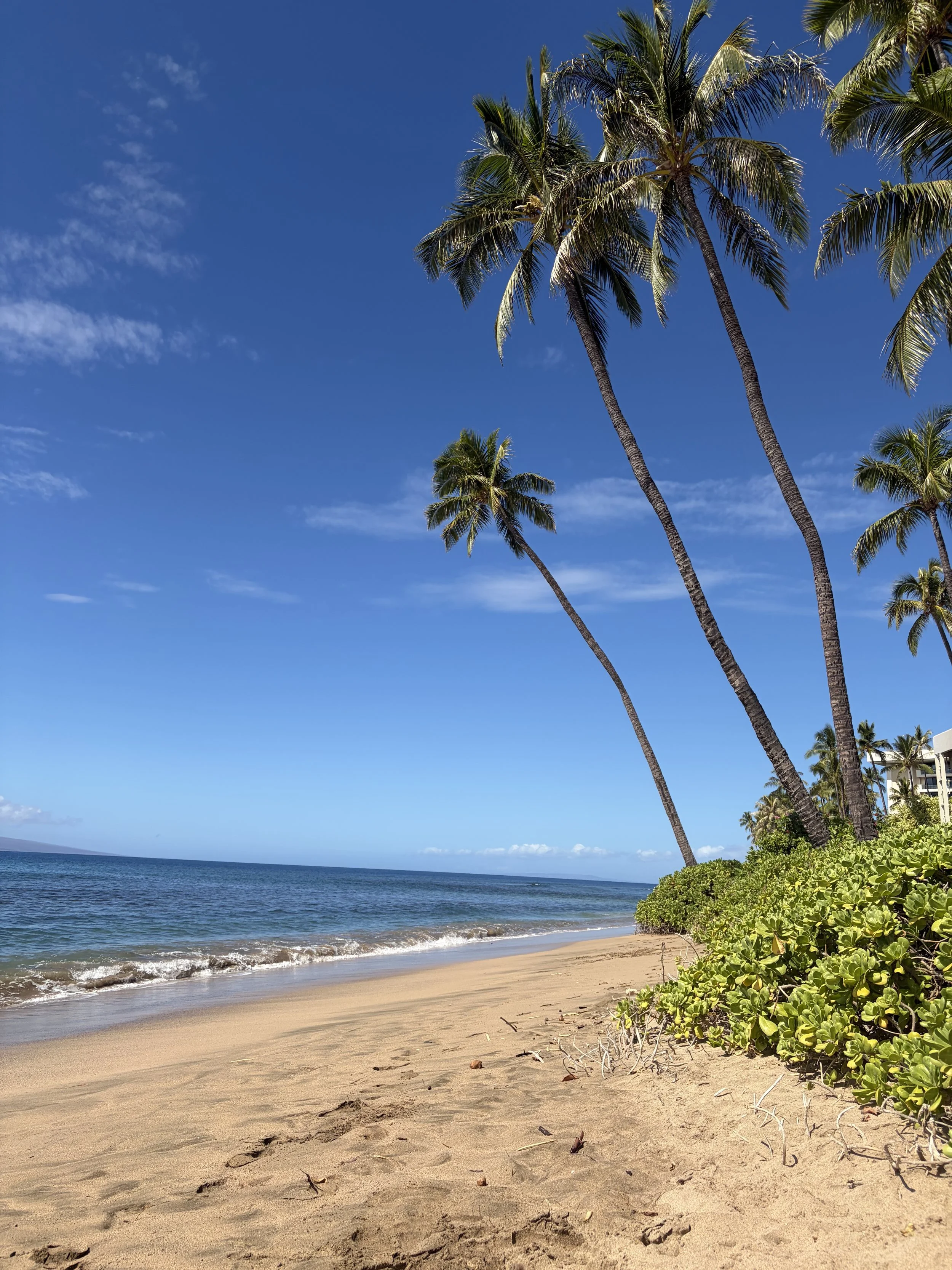 Our Stay at the Hyatt Regency Maui 